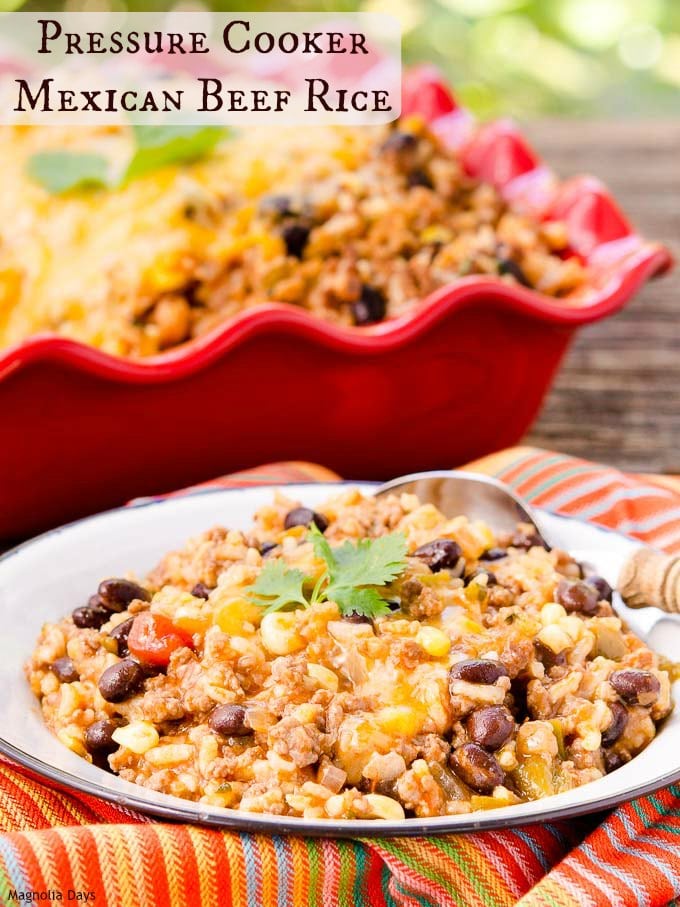 Pressure Cooker Mexican Beef Rice | Magnolia Days