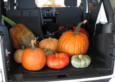 Pumpkins in back of Jeep