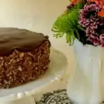Chocolate Pecan Torte