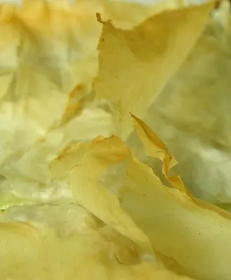 Freshly Baked Phyllo on top of Spanakopita