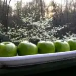 Green Granny Smith Apples in a dish