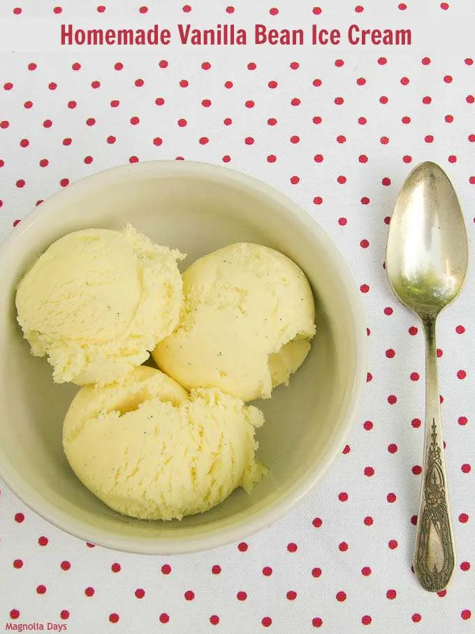 Ice Cream Recipes: Homemade Vanilla Bean in 30 Minutes - Baby to Boomer  Lifestyle