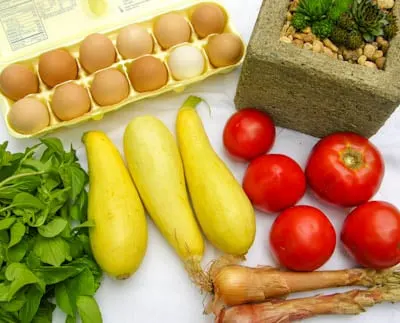 Vegetables, herbs, plants, and eggs purchased at a farmers market