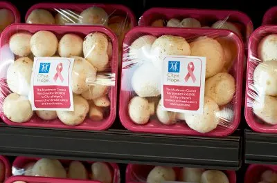 The Mushroom Council City of Hope Retail Pink Tills Package