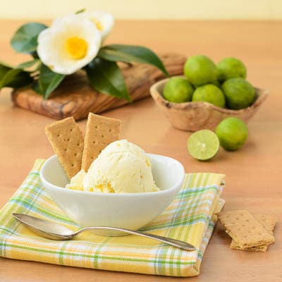 Key Lime Pie Ice Cream | Magnolia Days