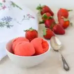 Strawberry Sorbet | Magnolia Days