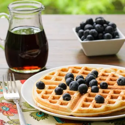 Buttermilk Sourdough Waffles | Magnolia Days