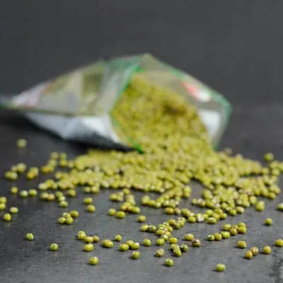 Green Moong (Mung) Beans | Magnolia Days