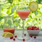 Goumi Berry Martini | Magnolia Days
