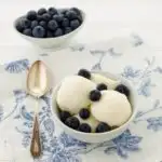 Vanilla Frozen Yogurt | Magnolia Days