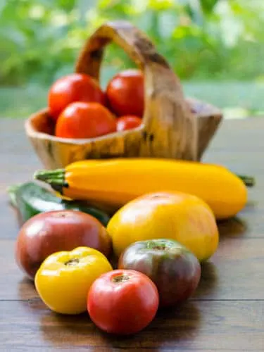 Tomatoes and Zucchini | Magnolia Days