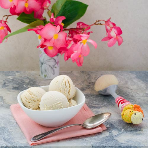 Peanut Butter Ice Cream | Magnolia Days