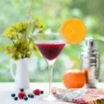 Berry Orange Martini | Magnolia Days