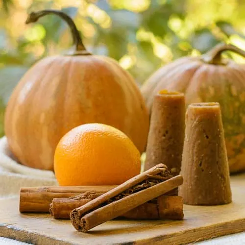 Ingredients for Candied Pumpkin - Calabaza en Tacha | Magnolia Days