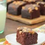 Chocolate Peanut Butter Snack Cake | Magnolia Days