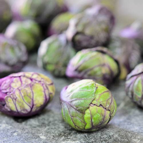 Baby Purple Brussels Sprouts | Magnolia Days