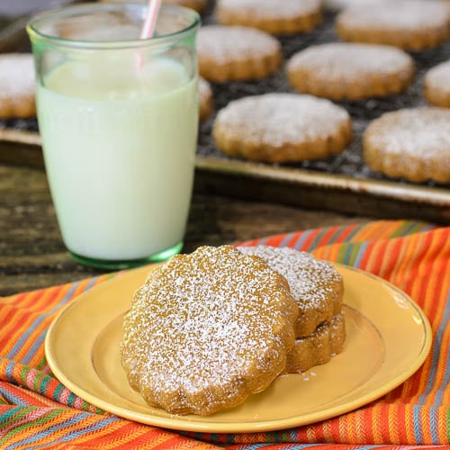 Cinnamon and Piloncillo Cookies | Magnolia Days