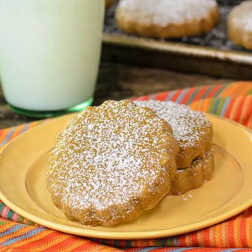 Cinnamon and Piloncillo Cookies | Magnolia Days