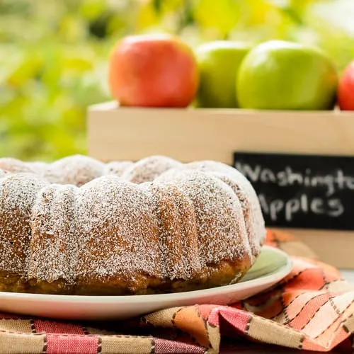 Applesauce Walnut Raisin Cake | Magnolia Days