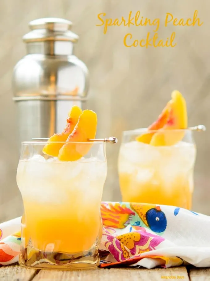 Sparkling Peach Punch - Carlsbad Cravings