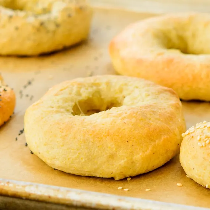 Cornmeal Bagels | Magnolia Days