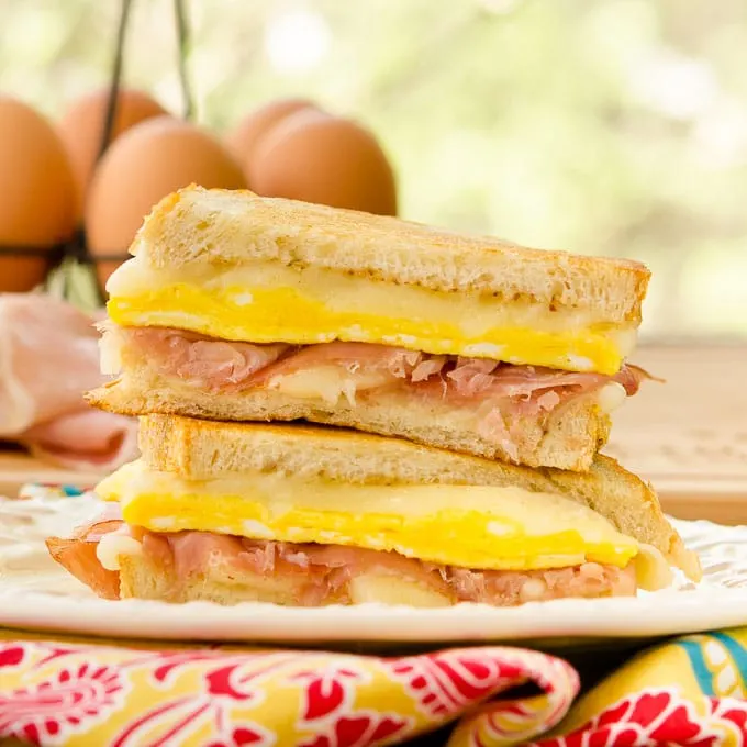 Dash Egg Bite Maker Grilled Cheese Sandwich 