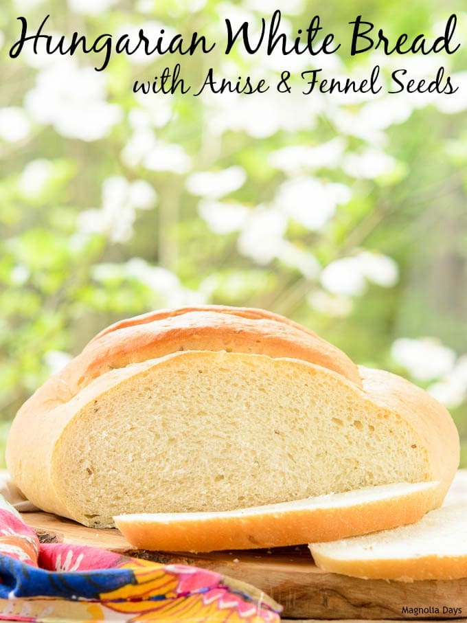 Hungarian White Bread with Anise and Fennel Seeds | Magnolia Days