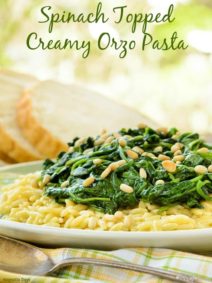 Spinach Topped Creamy Orzo Pasta | Magnolia Days
