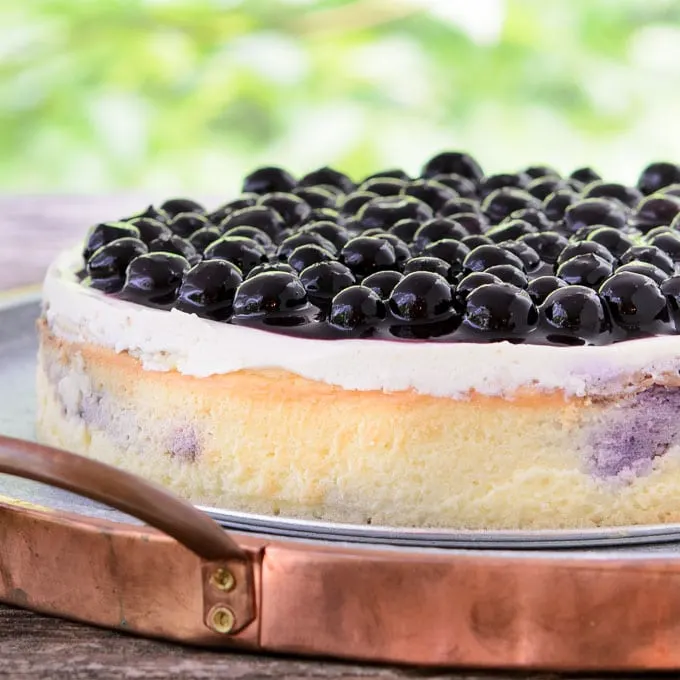 Crustless Creamy Blueberry Swirl Cheesecake | Magnolia Days