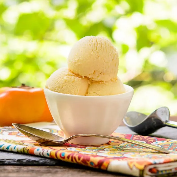 Persimmon Gelato | Magnolia Days