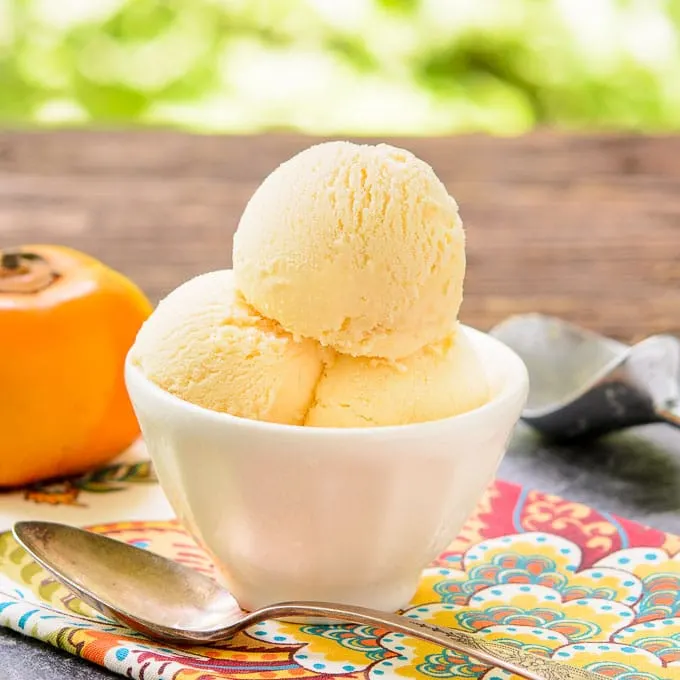 Persimmon Gelato | Magnolia Days