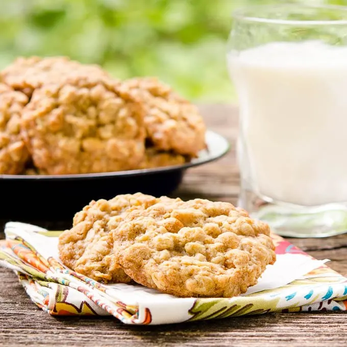 Honey Oatmeal Scotchies | Magnolia Days