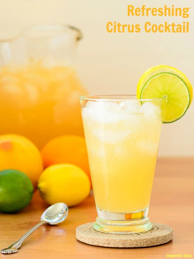 Refreshing Citrus Cocktail | Magnolia Days