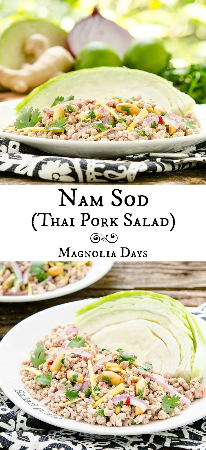 Nam Sod (Thai Pork Salad) is a healthy meal full of flavors including lime, chile, onion, ginger, peanut, and cilantro. Serve it with cabbage wedges.