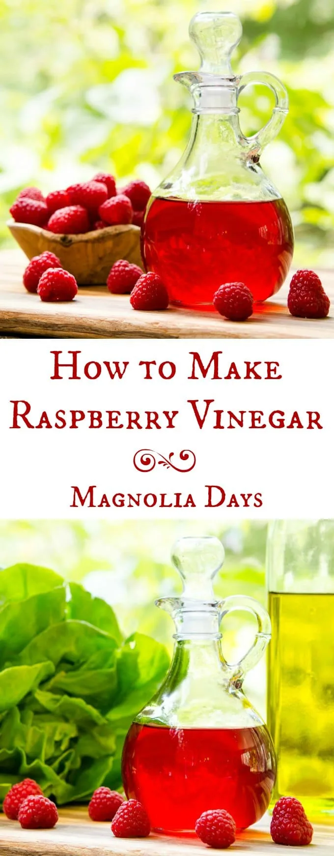 How to make raspberry vinegar by infusing fresh raspberries into vinegar. It's so easy to do. The vinegar has bright berry flavor and a hint of lemon. It's great for salads, dressings, and to give as gifts.