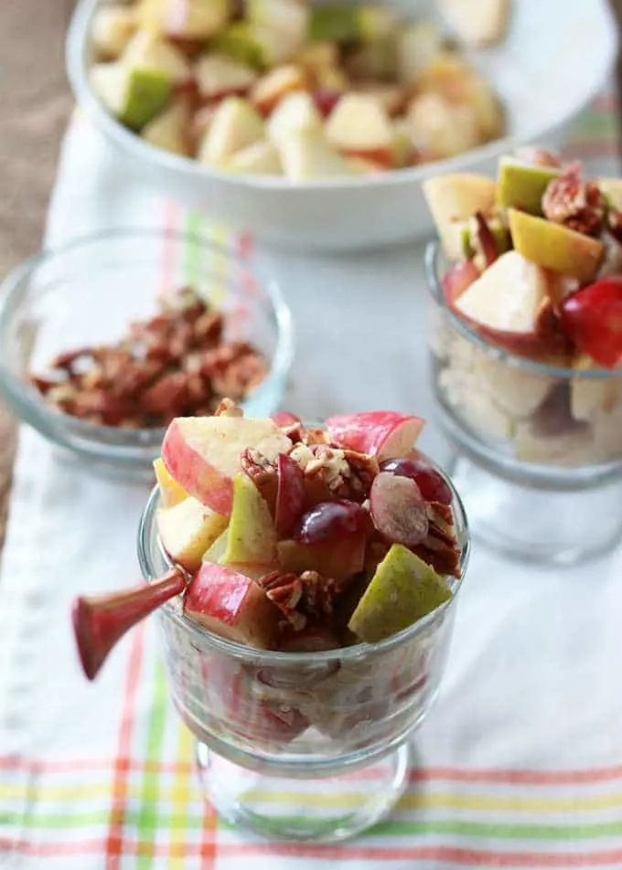 Autumn Fruit Salad with Cinnamon Greek Yogurt Dressing by Kitchen Treaty