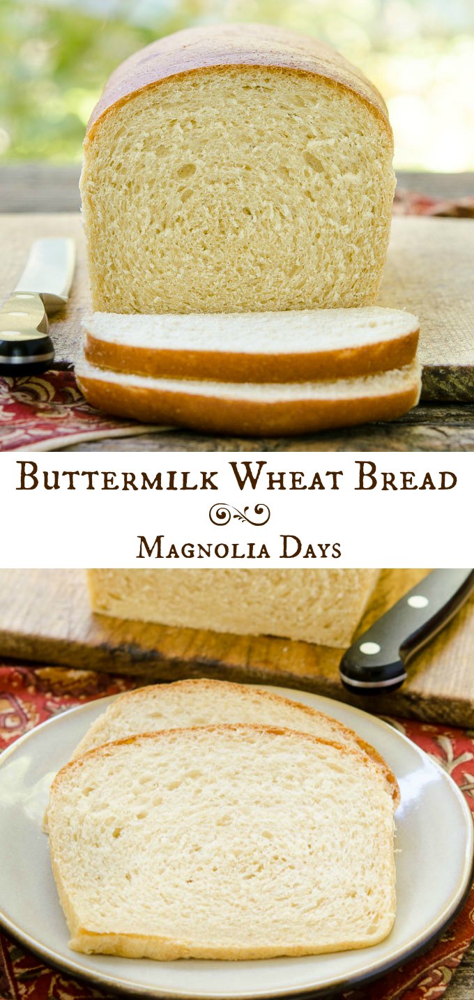 Buttermilk Wheat Bread is a fantastic sandwich bread with a touch of honey and lightness from white whole wheat.