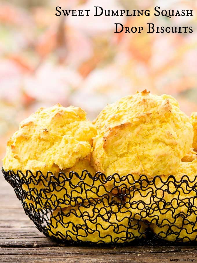 Sweet Dumpling Squash Drop Biscuits are wonderful for fall and holiday meals. Only need 4 ingredients and a few hands-on minutes to make them.