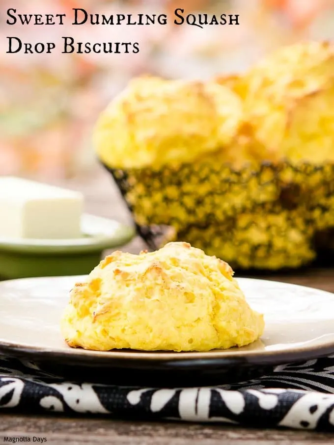 Sweet Dumpling Squash Drop Biscuits are wonderful for fall and holiday meals. Only need 4 ingredients and a few hands-on minutes to make them.