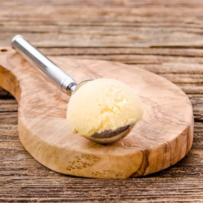 Honey Coconut Tangerine Sorbet | Magnolia Days