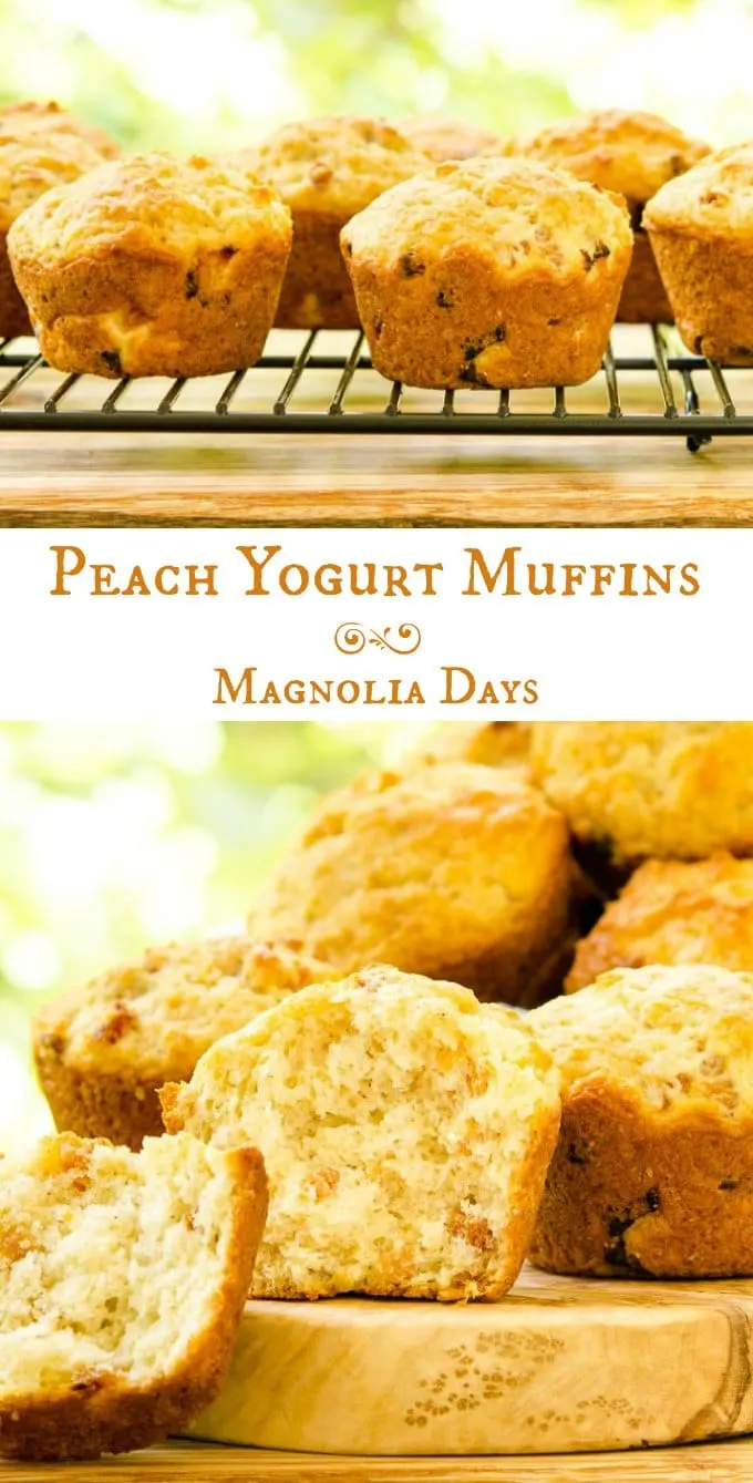 Peach Yogurt Muffins are a delightful treat for breakfast or a snack. They have a touch of cinnamon and are made with the goodness of Greek yogurt.