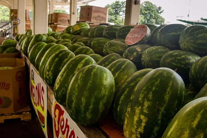 Georgia Watermelons at the State Farmers Market - Magnolia Days