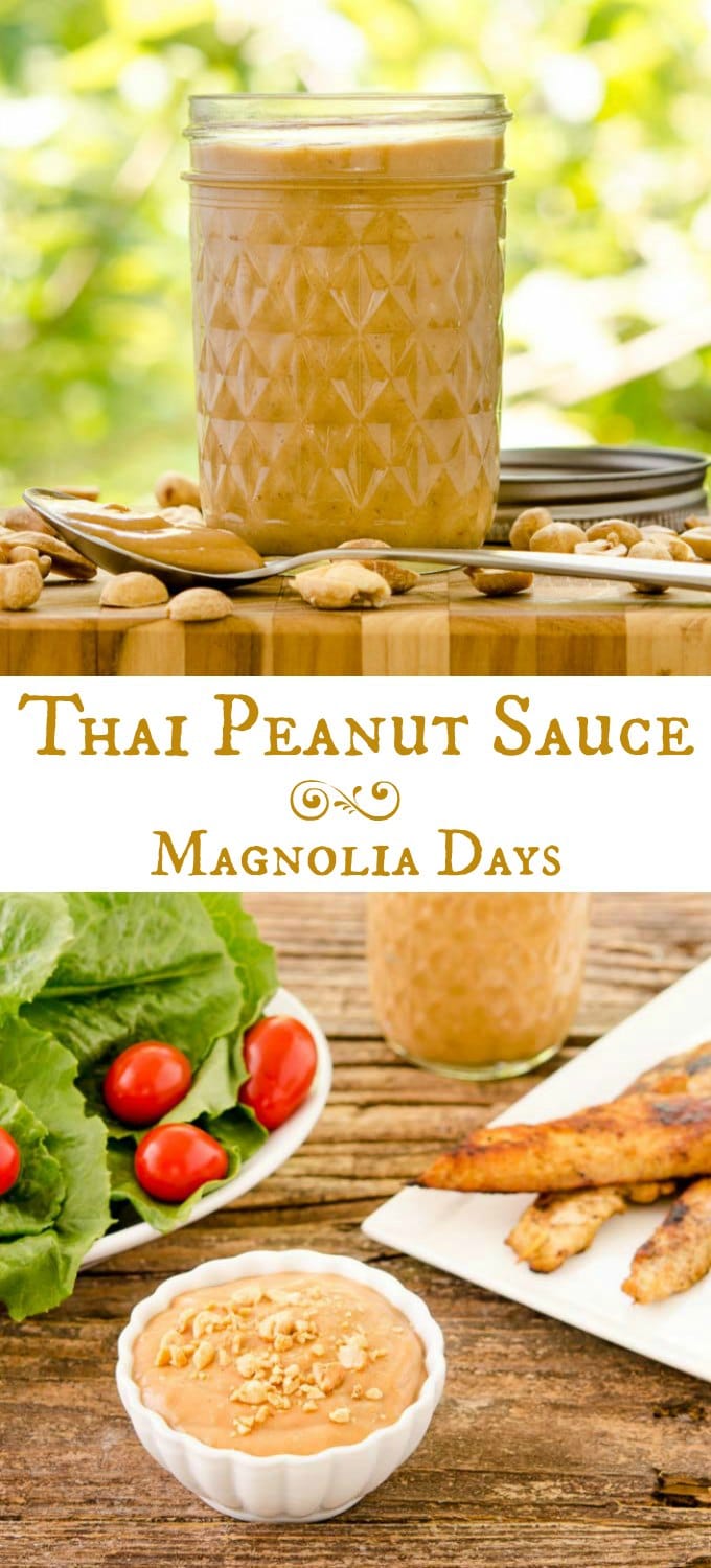 Thai Peanut Sauce for a meat satay or kebab dip, to toss on noodles, or salad dressing. It's thick, rich, and full of Asian flavors.