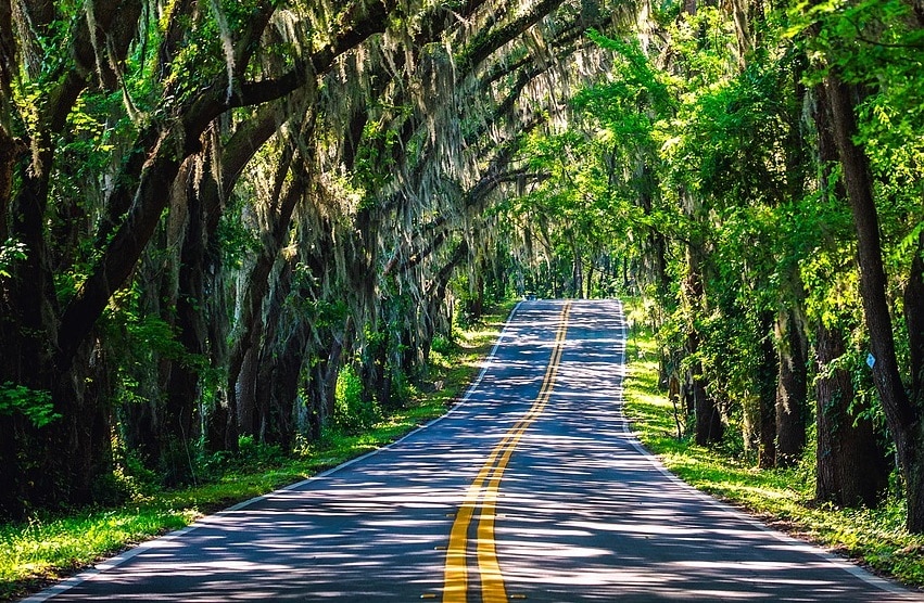 Yes, Florida is a Southern state, and here are 10 amazing photos to prove it. Take a look and see if you agree that Florida is truly Southern!