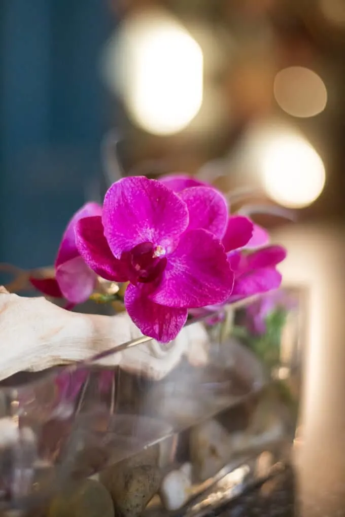 Purple Dendrobium orchid in a clear glass vase