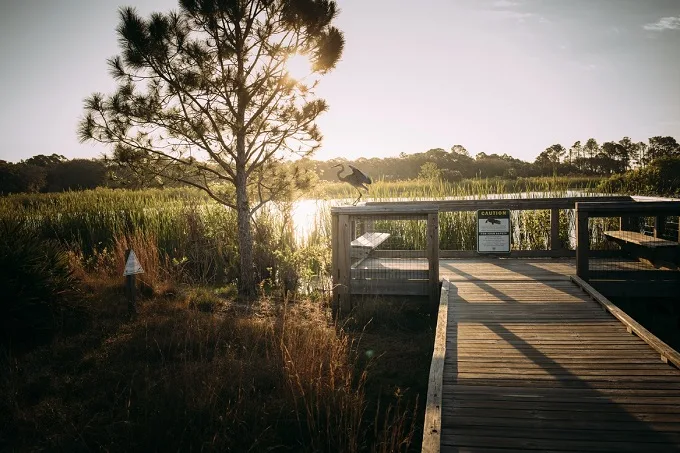 Sunset over Florida wetland with wooden walkway in Panama City Beach