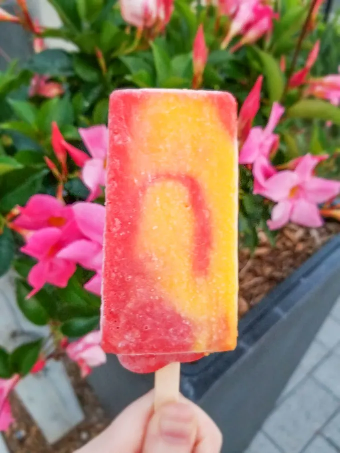 Orange and pink popsicle with flowers in the background